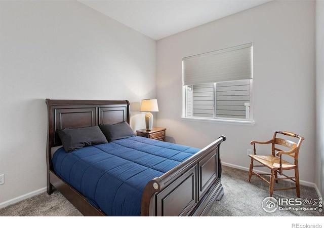 2844 Hagerman St, Loveland, CO 80538 - photo 17