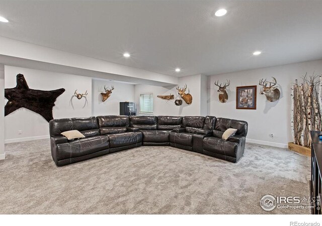 2844 Hagerman St, Loveland, CO 80538 - photo 21