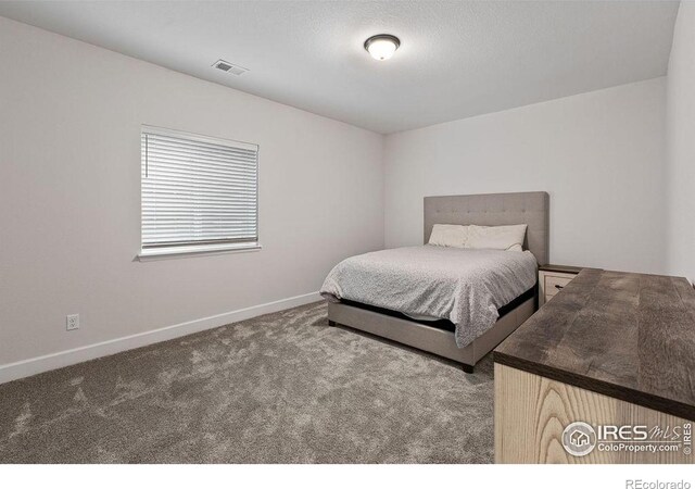 2844 Hagerman St, Loveland, CO 80538 - photo 24