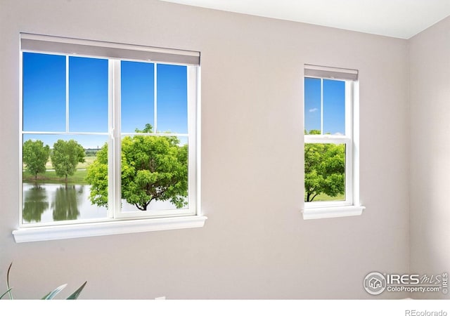6492 Richland Ave, Timnath, CO 80547 - unfurnished room with plenty of natural light