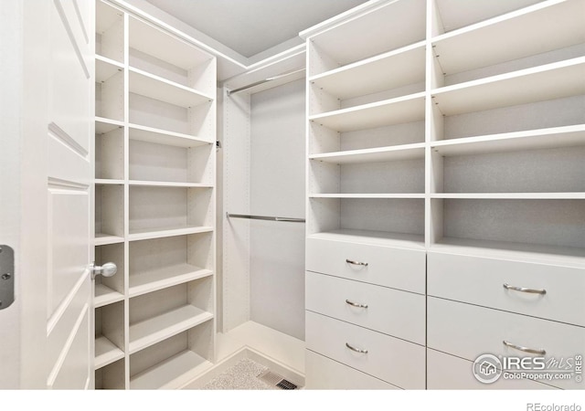 6492 Richland Ave, Timnath, CO 80547 - view of walk in closet