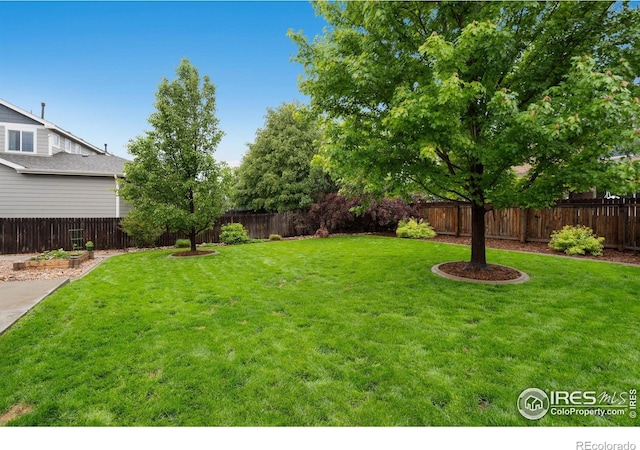 6492 Richland Ave, Timnath, CO 80547 - view of yard
