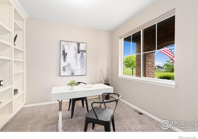6492 Richland Ave, Timnath, CO 80547 - carpeted office with baseboards