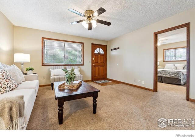 1101 Spruce St, Louisville, CO 80027