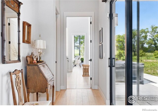 1563 Spring Creek Xing, Lafayette, CO 80026 - entrance foyer featuring light wood finished floors and baseboards