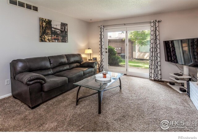 909 Conifer Ct Unit 3, Windsor, CO 80550