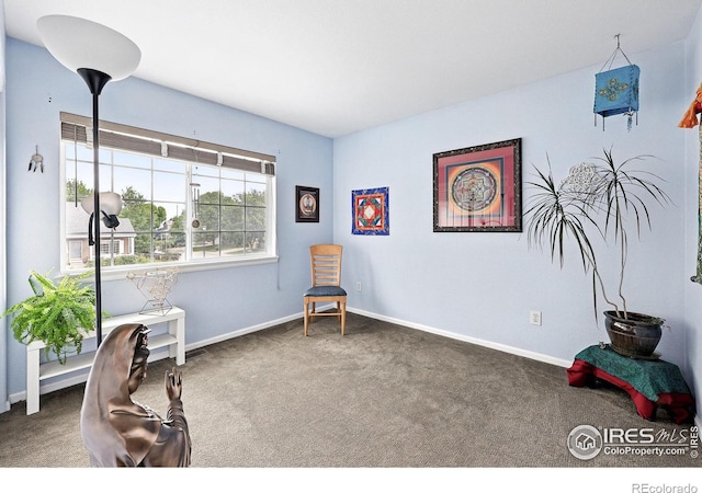 823 Timothy Dr, Longmont, CO 80503 - living area with carpet floors and baseboards