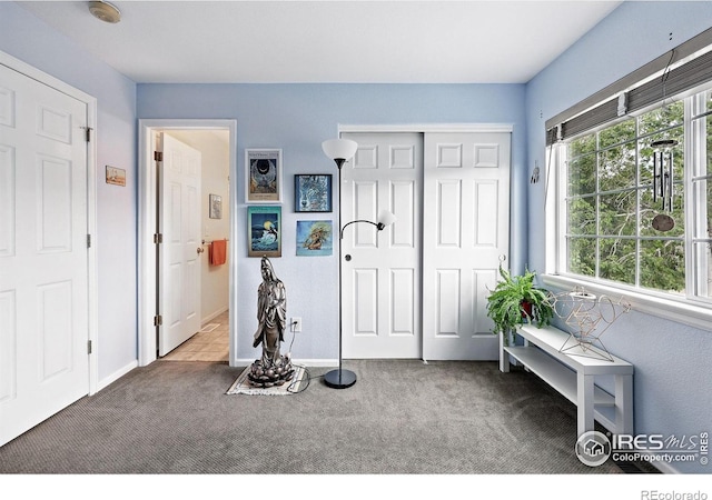 823 Timothy Dr, Longmont, CO 80503 - view of carpeted foyer entrance