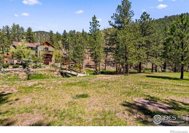 952 Skinner Gulch Rd, Loveland, CO 80537 - photo 4