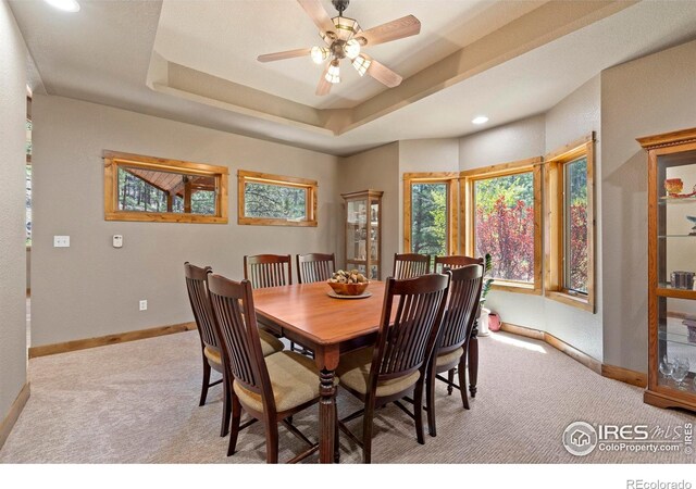 952 Skinner Gulch Rd, Loveland, CO 80537 - photo 11