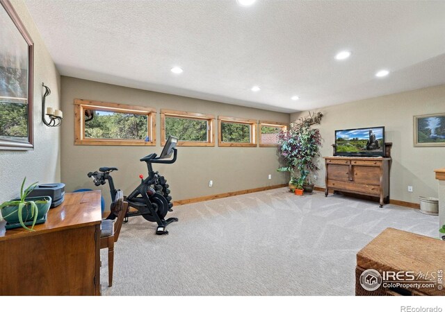 952 Skinner Gulch Rd, Loveland, CO 80537 - photo 22