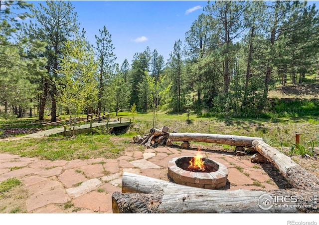 952 Skinner Gulch Rd, Loveland, CO 80537 - photo 34
