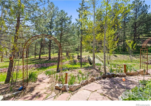 952 Skinner Gulch Rd, Loveland, CO 80537 - photo 37