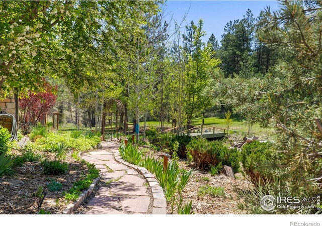 952 Skinner Gulch Rd, Loveland, CO 80537 - photo 38