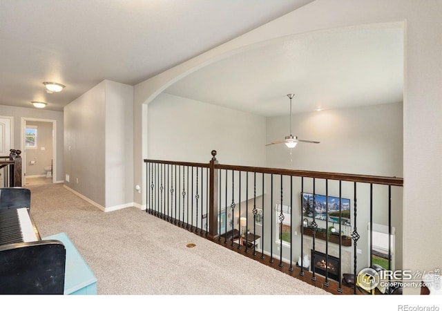 426 Gannet Peak Dr, Windsor, CO 80550 - hall featuring carpet flooring and baseboards