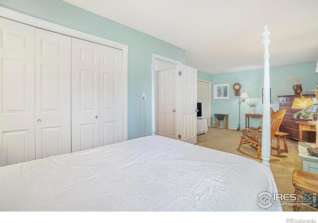 2420 Sheffield Cir E, Fort Collins, CO 80526 - photo 16
