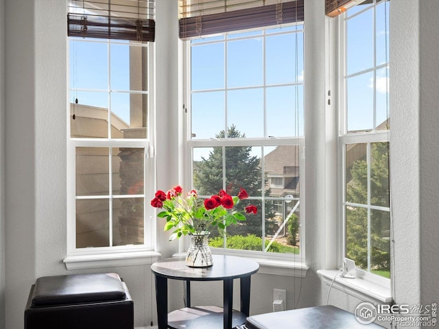 4795 Raven Run, Broomfield, CO 80023 - view of sunroom / solarium