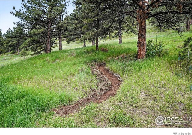 1946 Lefthand Canyon Dr, Boulder, CO 80302