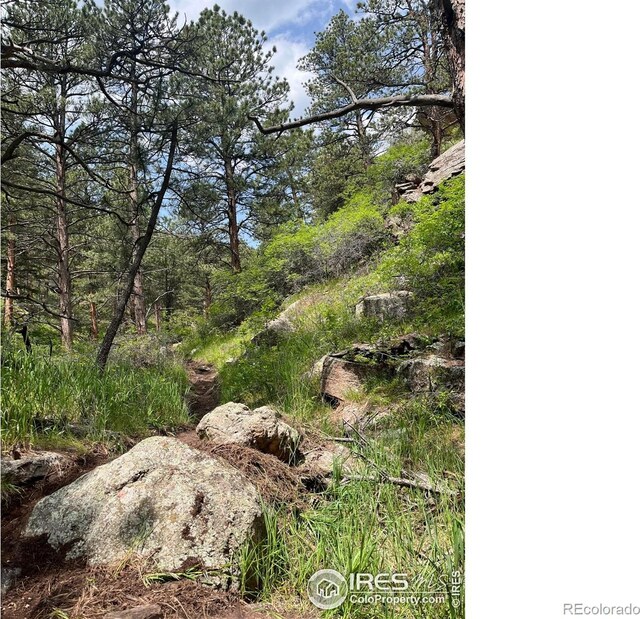 1946 Lefthand Canyon Dr, Boulder, CO 80302