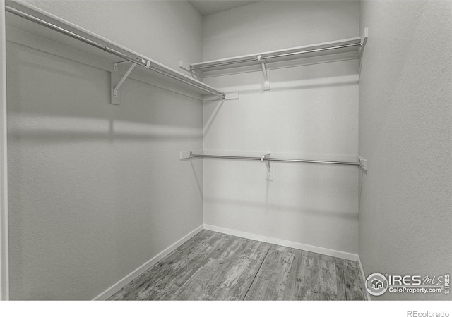 1811 Bounty Dr Unit 4, Windsor, CO 80550 - walk in closet with wood finished floors