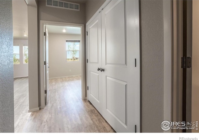 1811 Bounty Dr Unit 4, Windsor, CO 80550 - corridor with plenty of natural light, light wood-style floors, a textured wall, and baseboards