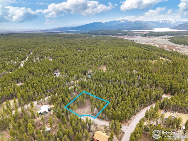 0 Lodgepole Dr, Leadville, CO 80461