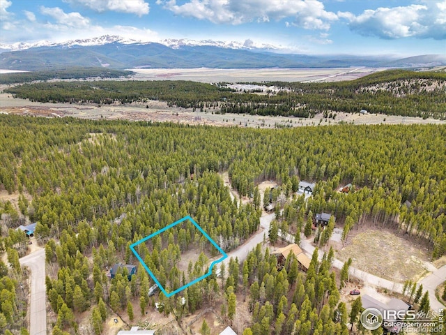 0 Lodgepole Dr, Leadville, CO 80461