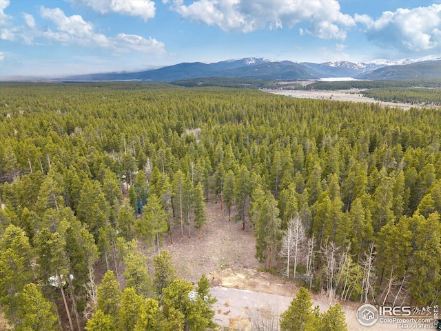 0 Lodgepole Dr, Leadville, CO 80461