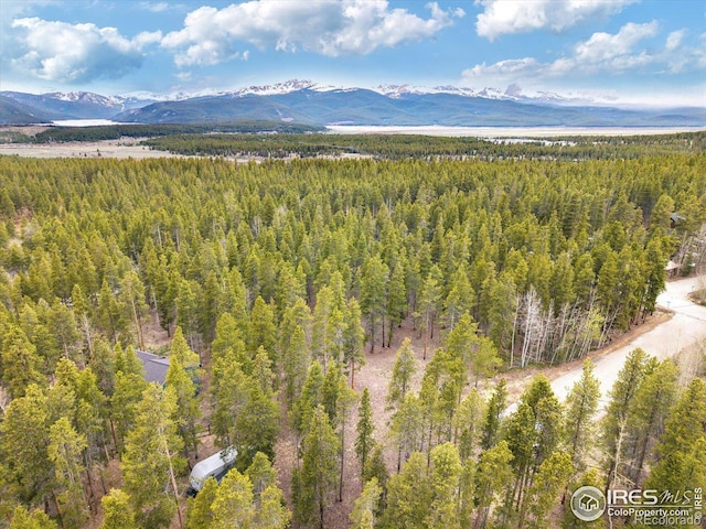 0 Lodgepole Dr, Leadville, CO 80461