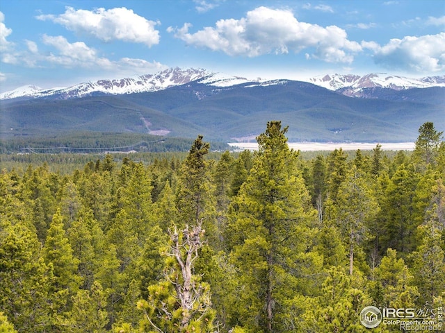 0 Lodgepole Dr, Leadville, CO 80461