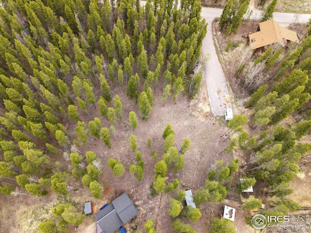 0 Lodgepole Dr, Leadville, CO 80461
