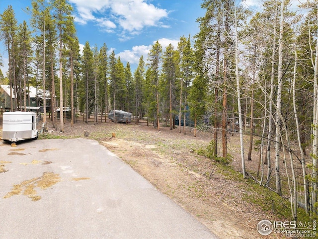 0 Lodgepole Dr, Leadville, CO 80461