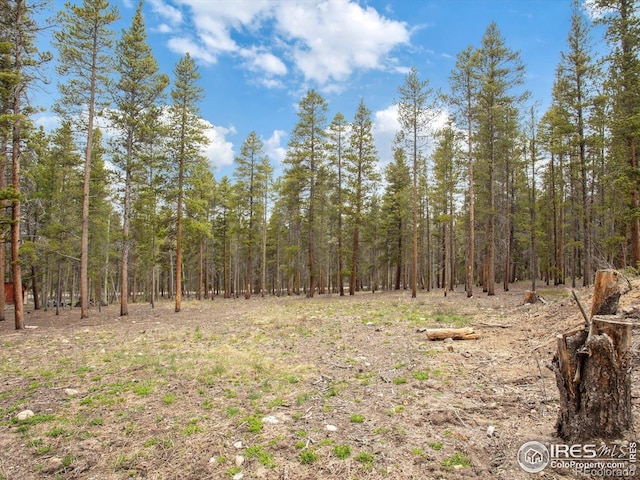 0 Lodgepole Dr, Leadville, CO 80461