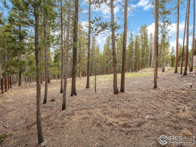 0 Lodgepole Dr, Leadville, CO 80461