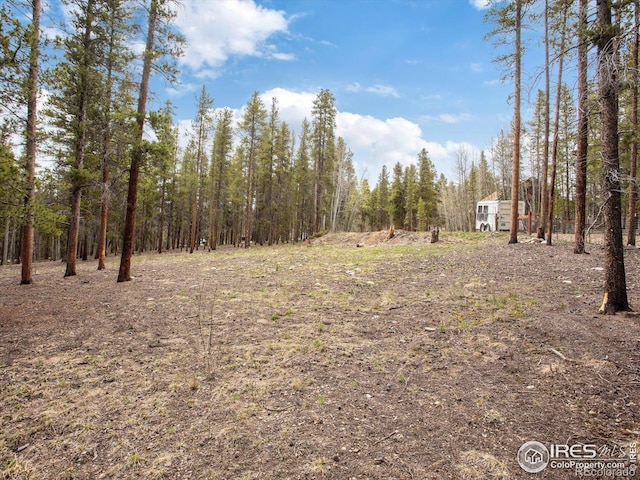 0 Lodgepole Dr, Leadville, CO 80461