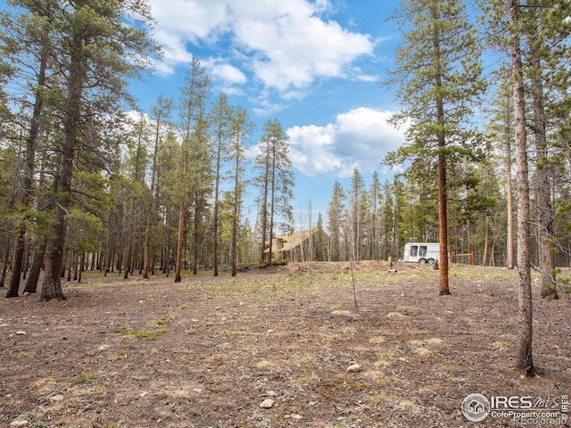 0 Lodgepole Dr, Leadville, CO 80461