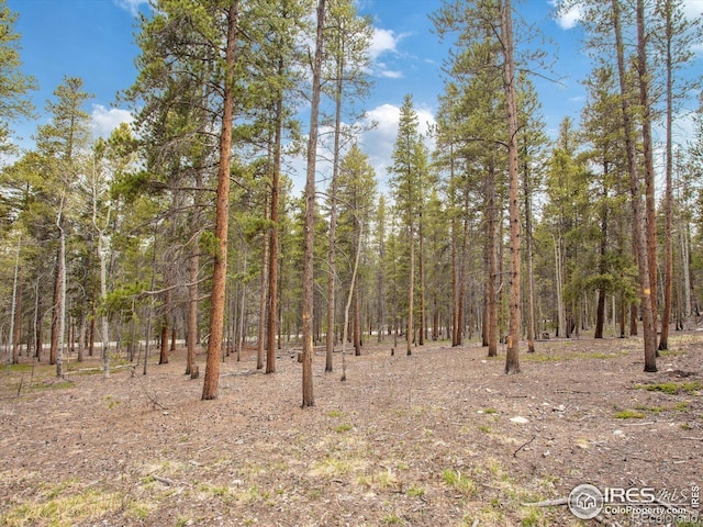 0 Lodgepole Dr, Leadville, CO 80461