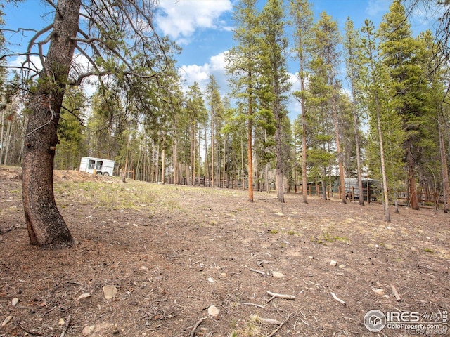0 Lodgepole Dr, Leadville, CO 80461