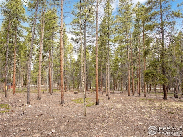 0 Lodgepole Dr, Leadville, CO 80461