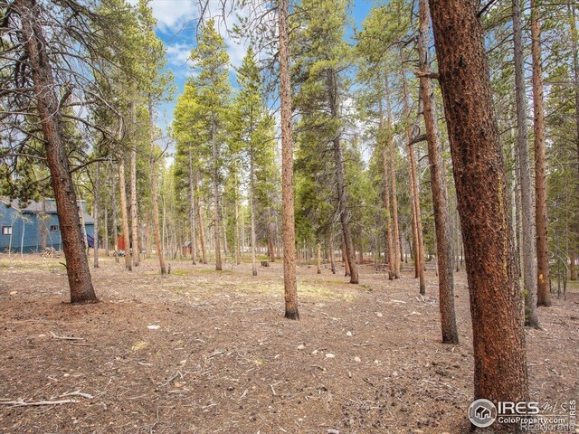 0 Lodgepole Dr, Leadville, CO 80461