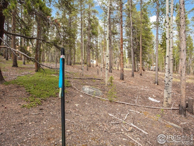 0 Lodgepole Dr, Leadville, CO 80461
