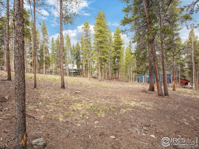 0 Lodgepole Dr, Leadville, CO 80461