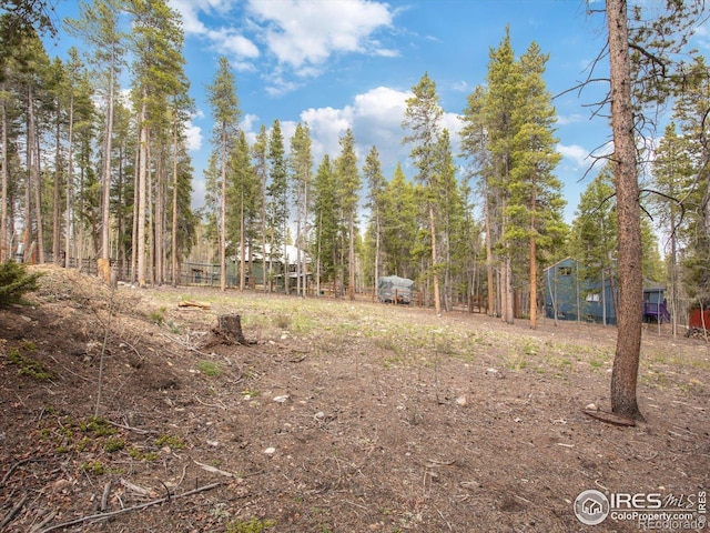 0 Lodgepole Dr, Leadville, CO 80461