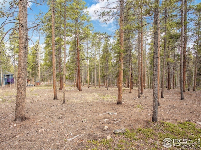 0 Lodgepole Dr, Leadville, CO 80461