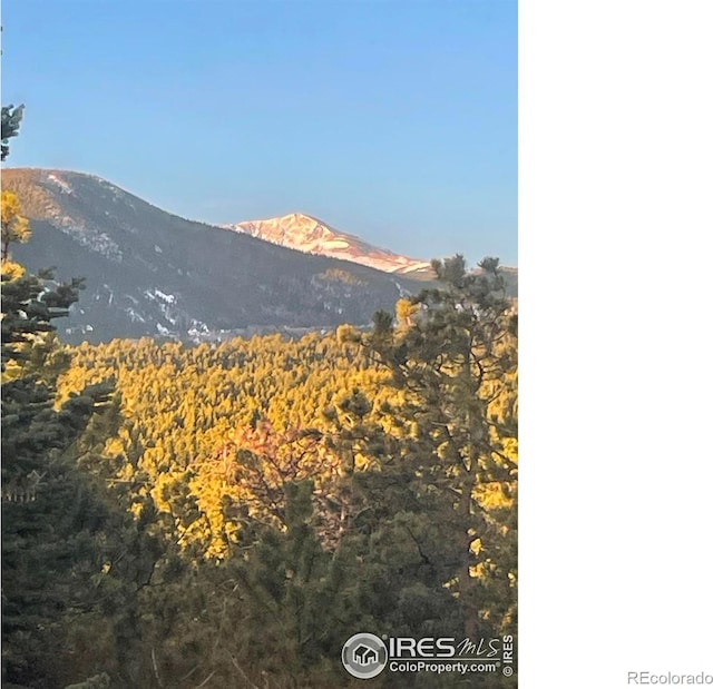 38 Navajo Trl, Nederland, CO 80466 - view of mountain backdrop featuring a heavily wooded area