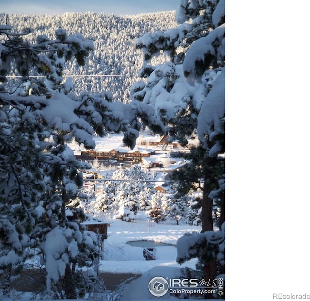 38 Navajo Trl, Nederland, CO 80466 - mountain view