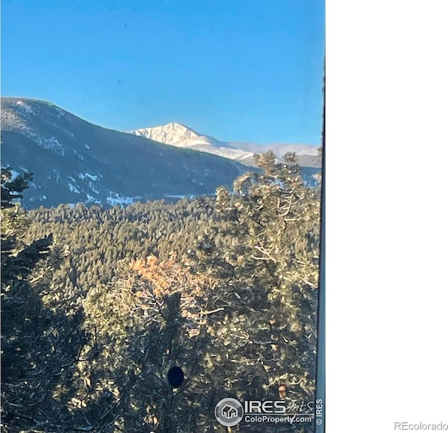 38 Navajo Trl, Nederland, CO 80466 - view of mountain background