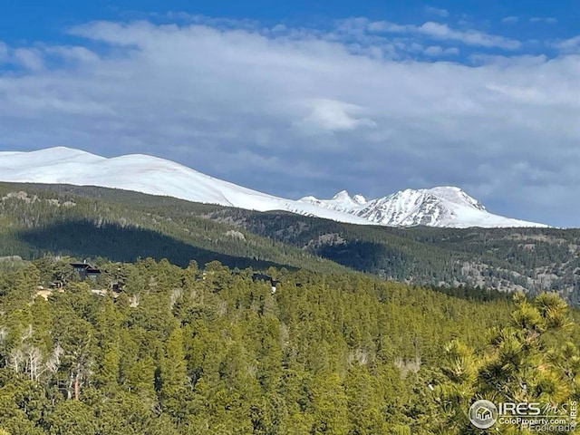 38 Navajo Trl, Nederland, CO 80466 - view of mountain background with a heavily wooded area