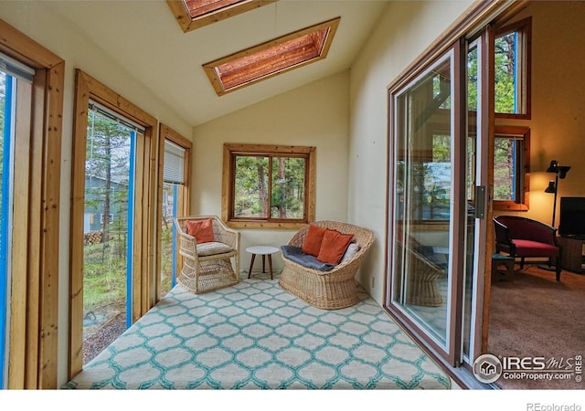 38 Navajo Trl, Nederland, CO 80466 - sunroom / solarium with lofted ceiling, plenty of natural light, a skylight, and carpet floors
