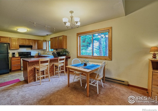 38 Navajo Trl, Nederland, CO 80466 - dining space with a baseboard radiator, a chandelier, light colored carpet, and track lighting